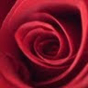 Meet your Posher, Mina